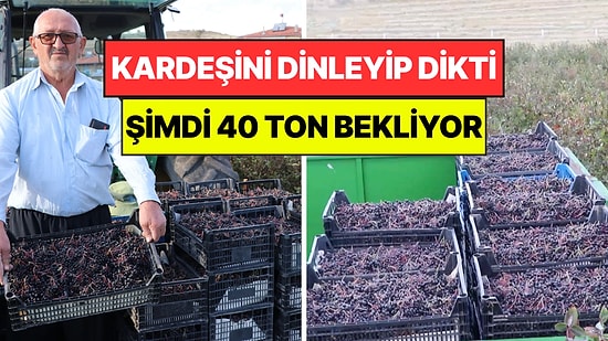 Kardeşini Dinleyip Tarlasına 10 Bin Kök Dikti: Şimdi Paraya Para Demiyor