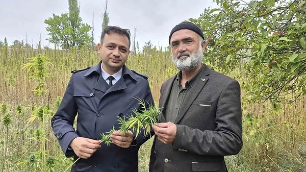 Kenevir balı Bozok Üniversitesi Kenevir Enstitüsü'nde incelenecek