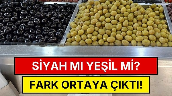 Siyah mı Yeşil mi, Hangi Zeytin Daha Faydalı?