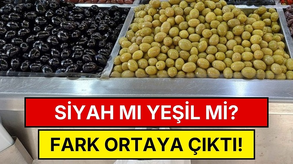 Siyah Zeytin mi Yeşil Zeytin mi Daha Faydalı? Aralarındaki Fark Ortaya Çıktı
