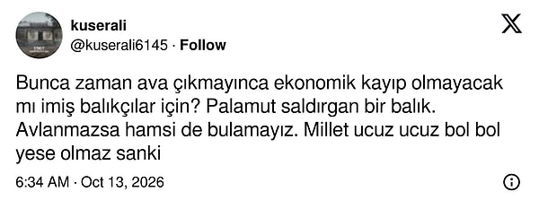 Palamut avlanmazsa hamsinin de bulunamayabileceği savunuldu