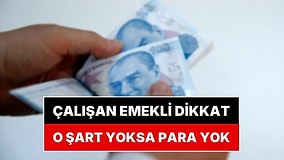 Çalışan Emekliye SGK'dan Para: İsa Karakaş Hangi Emeklinin Alacağını Açıkladı