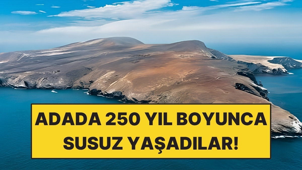 Tatlı Su Kaynağı Olmayan Adada Keçilerin Sırrı - Onedio