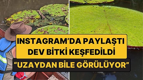 Instagram Fotoğrafı Dev Bir Keşfe Dönüştü: İşte Uzaydan Bile Görülebilen Yeni Bitki Türü