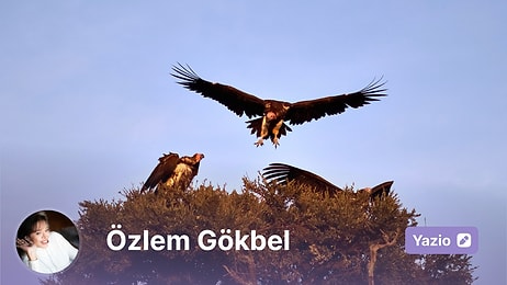 Doğanın Kötü Şöhretli Kurtarıcıları: Akbabalar Olmasa Ne Olurdu?