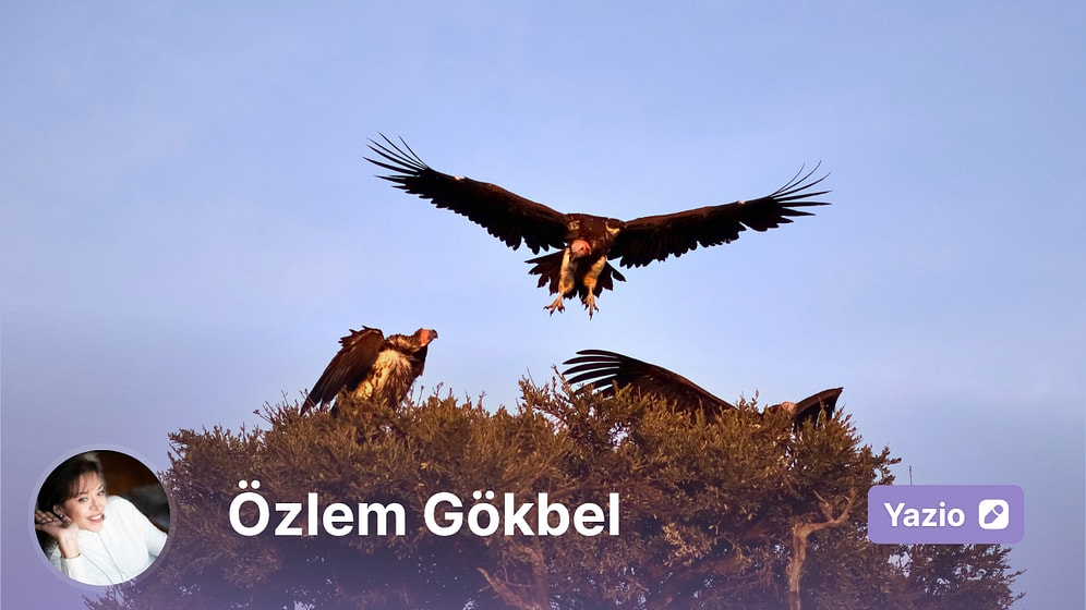 Doğanın Kötü Şöhretli Kurtarıcıları: Akbabalar Olmasa Ne Olurdu?
