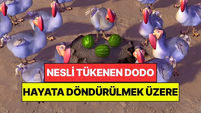 Nesli Tükenen Dodoyu Hayata Döndürecekler: "Aptal" Olduğu İçin Yok Oldu Sanılıyordu
