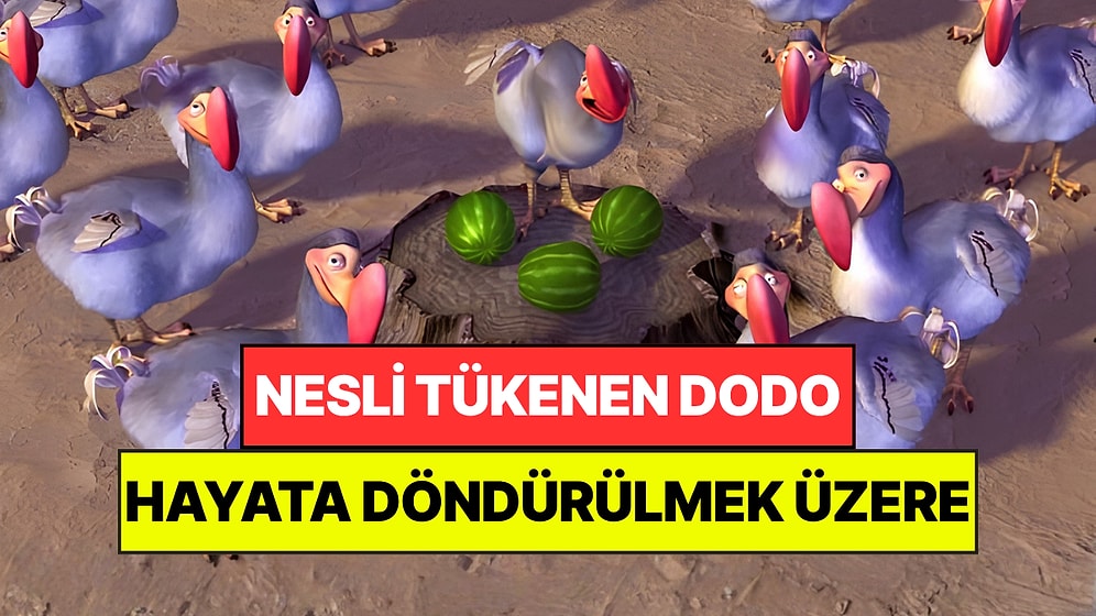 Nesli Tükenen Dodoyu Hayata Döndürecekler: "Aptal" Olduğu İçin Yok Oldu Sanılıyordu