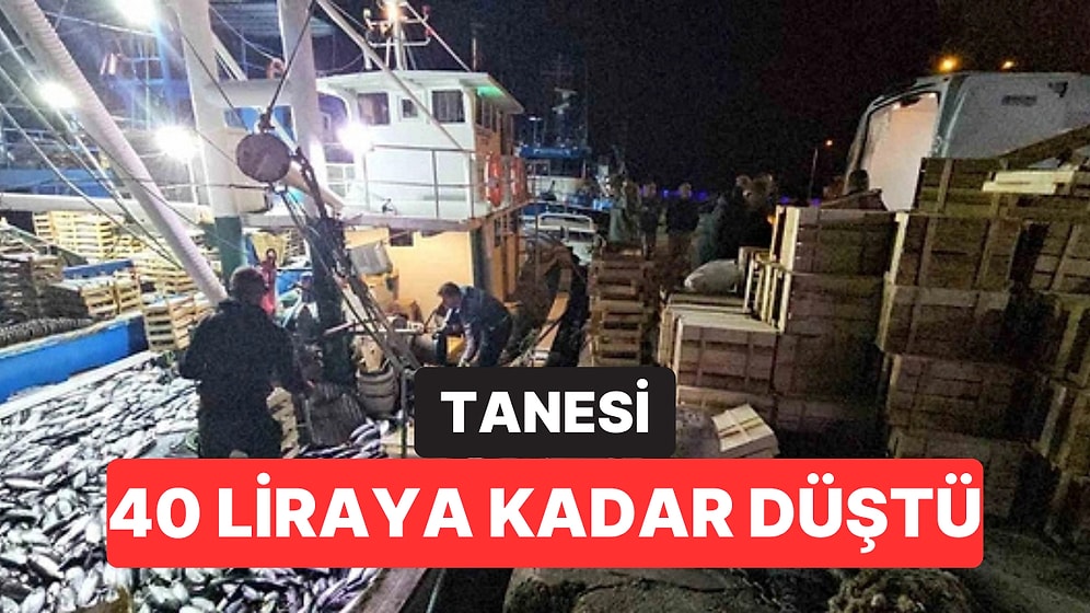 Tek Seferde 15 Bin Palamut Avladılar: Tanesi 40 Liraya Kadar Düştü