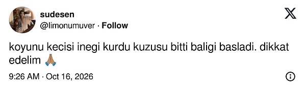 👇