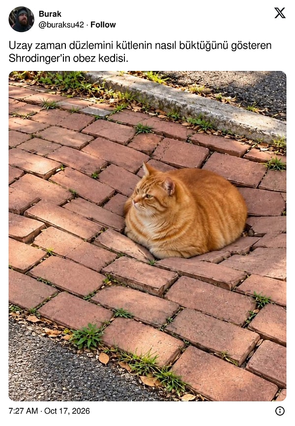 👇