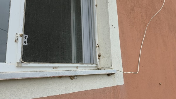 Hassa'da depremden sonra artan salyangozlar duvarlara, pencerelere ve bahçelere yayıldı.