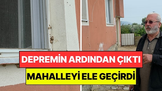 Depremden Sonra Ortaya Çıktılar: Evleri ve Bahçeleri Tek Tek İstila Ettiler
