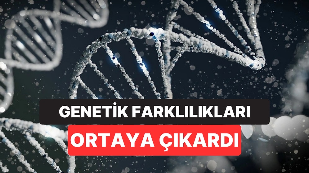 Bilim İnsanları İnme Riskini DNA'dan Önceden Gören Yapay Zeka Geliştirdi