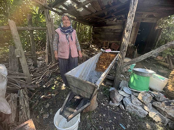 Şıra, 100 yılı aşkın ağaç teknede ayakla çiğnenerek çıkarılıyor