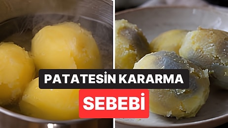 Haşlanmış Patates Soğurken Griye, Hatta Maviye Dönüyorsa Sebebi Tencere Değil