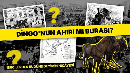 Dingo'nun Ahırı Deyiminin 1800'lü Yıllara Uzanan İlginç Hikâyesi Ortaya Çıktı