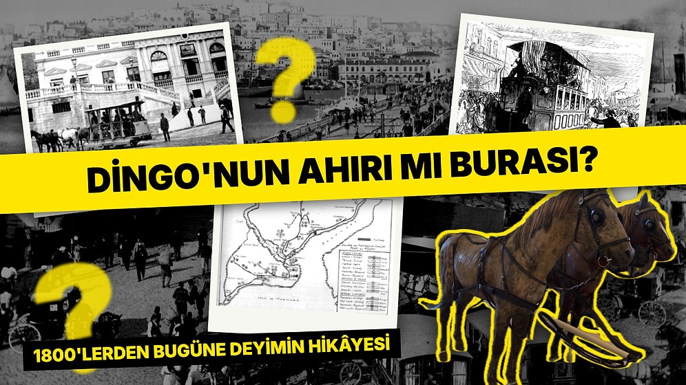 Dingo'nun Ahırı Deyiminin 1800'lü Yıllara Uzanan İlginç Hikâyesi Ortaya Çıktı