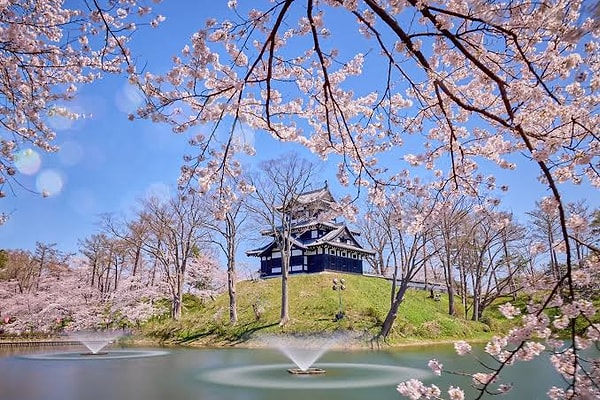 7. Niigata, Japonya
