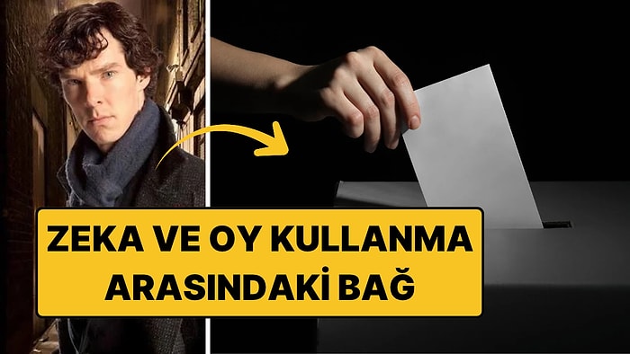 Zeki İnsanların Daha Çok Oy Kullandığı Doğru mu?
