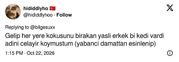 Yabancı damat etkisi.