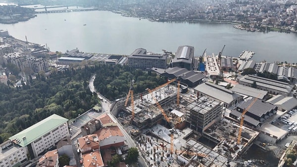 Ağacın bulunduğu eski tersane bölgesi, İstanbul'un denizcilik ve sanayi tarihinde önemli bir yere sahip.