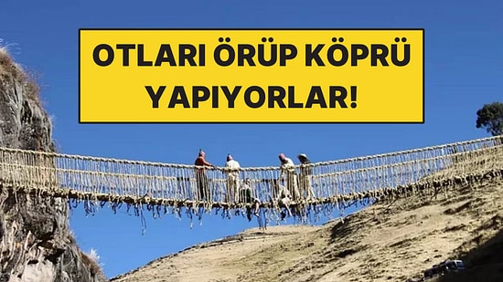 Otları Örüp Köprü Yapıyorlar: Aynı Köprüyü Her Yıl Baştan Kuruyorlar