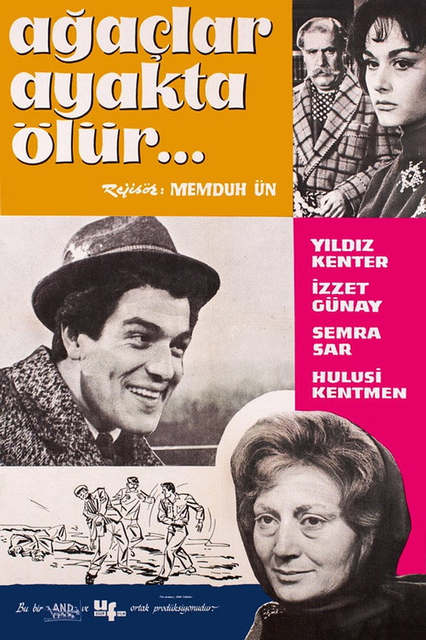 Ağaçlar Ayakta Ölür Posteri