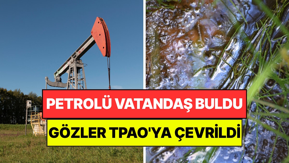 Bayburt'ta Köylerdeki Petrolü Vatandaş Buldu: Gözler TPAO'ya Çevrildi