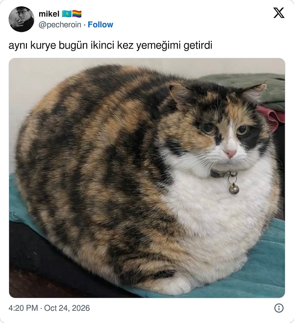 "Evet, ne olmuş?"