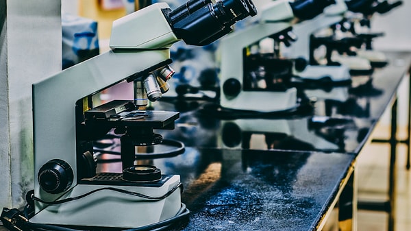 Peki Omega-3 Takviyeleri Alzheimer’ı Önlüyor mu?