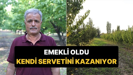 Ne Emekli Maaşı Ne Piyango: 100 Ağaçla Başladı, Şimdi Paraya Para Demiyor