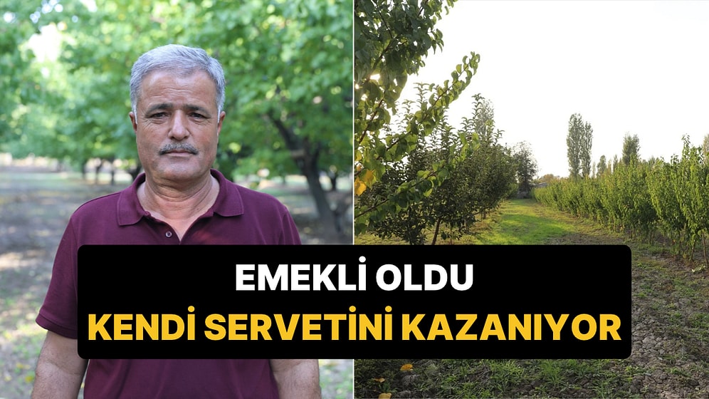 Ne Emekli Maaşı Ne Piyango: 100 Ağaçla Başladı, Şimdi Paraya Para Demiyor