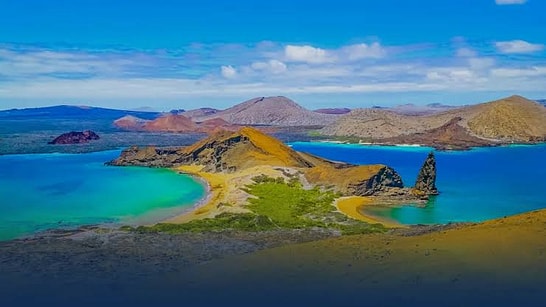 Left on an Island in 1959, Three Goats Completely Ruined the Natural Ecosystem