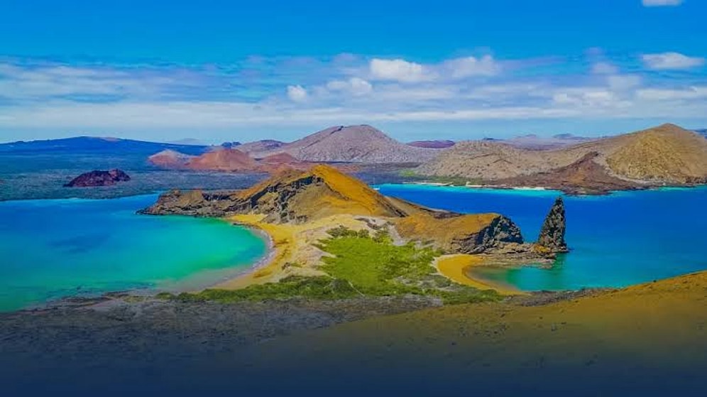 Left on an Island in 1959, Three Goats Completely Ruined the Natural Ecosystem