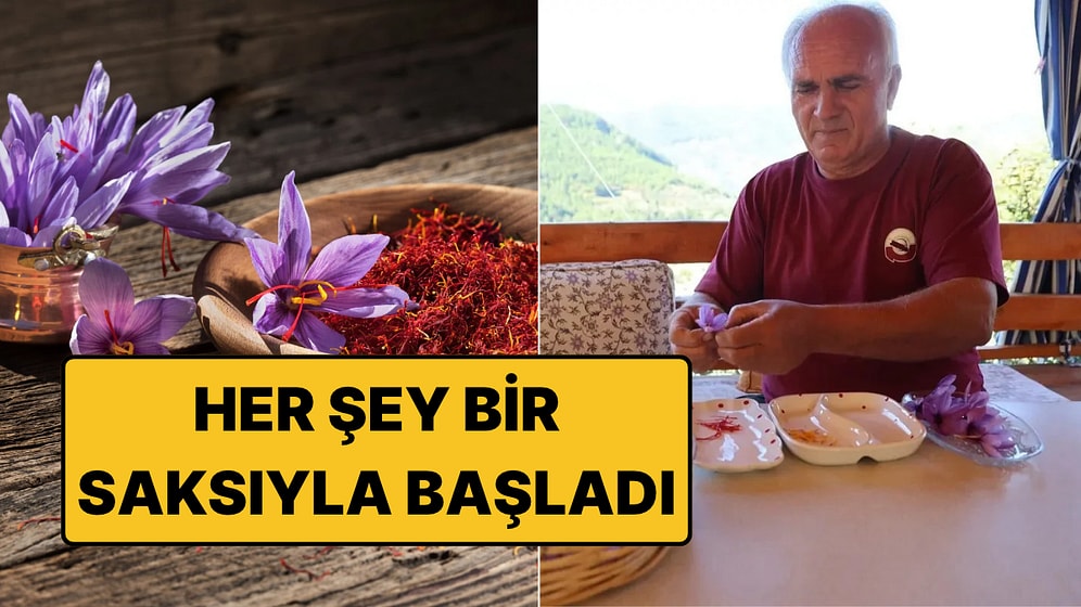 Bir Saksıyla Başladı, Şimdi Gramını 900 TL'ye Satıyor