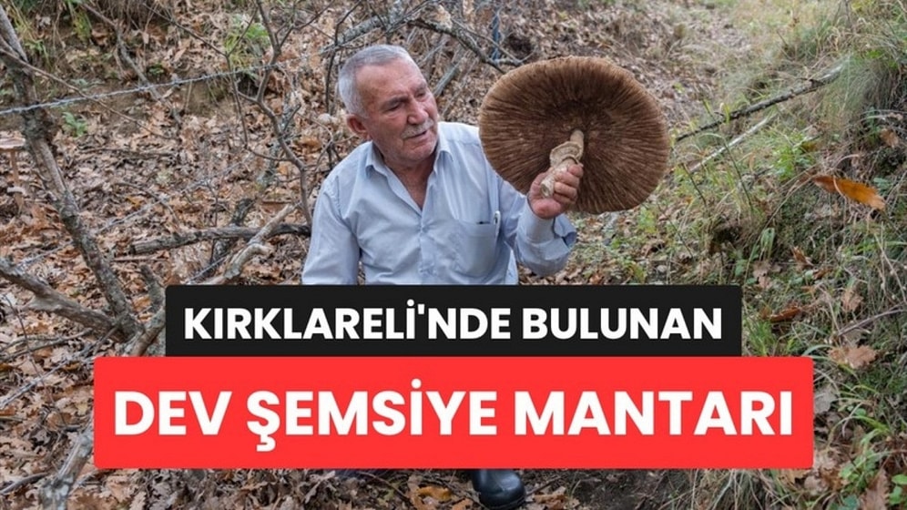Kırklareli'nde Ormanda Bulduğu Dev Mantar Sepete Sığmadı: Boyu Görenleri Şaşırttı