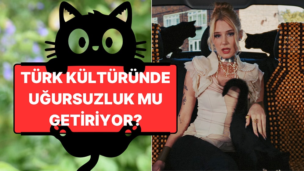 Bugün Ulusal Siyah Kedi Günü: Türk Kültüründe Kara Kedinin Bilinmeyen Yüzü