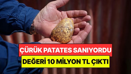 Çürük Patates Sandı, Milyonluk Servet Çıktı: Yıllardır Kimse Böylesini Görmedi