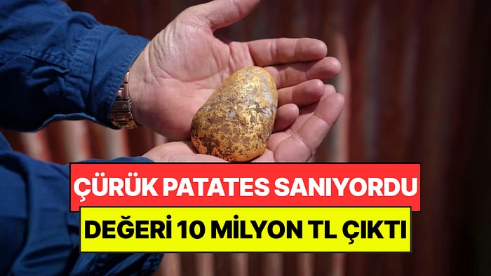 Çürük Patates Sandı, Milyonluk Servet Çıktı: Yıllardır Kimse Böylesini Görmedi