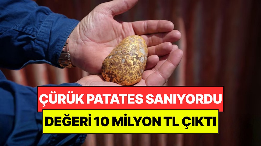 Çürük Patates Sandı, Milyonluk Servet Çıktı: Yıllardır Kimse Böylesini Görmedi