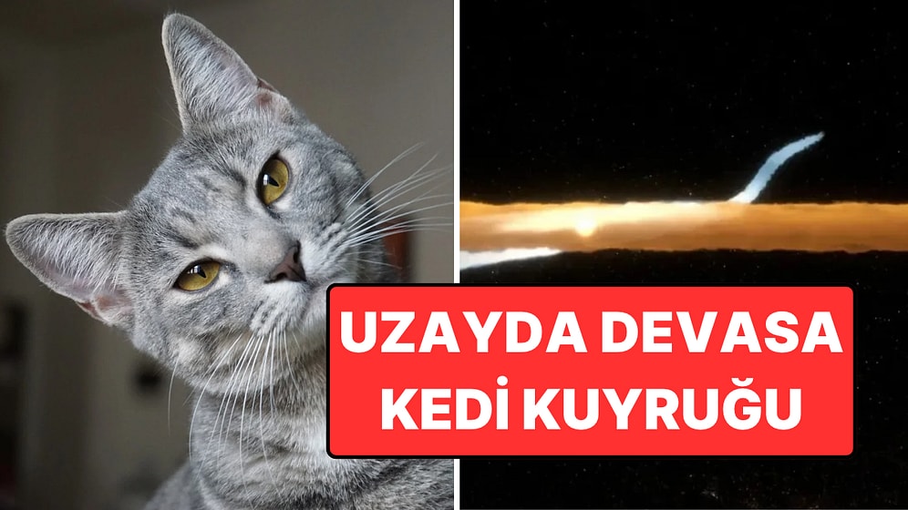 Uzayda 200 Trilyon Kedi Boyunda Bir 'Kuyruk' Görüntülendi
