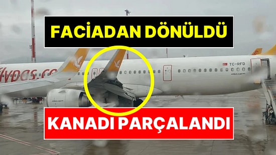 İstanbul-Kopenhag Uçağı Kalkıştan 45 Dakika Sonra Kuş Sürüsüne Çarptı