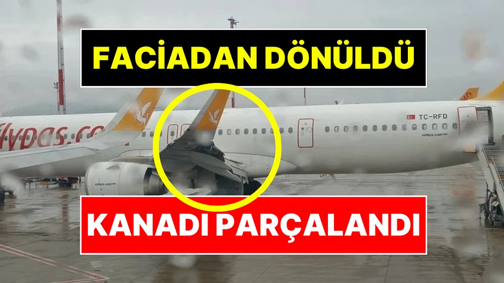 İstanbul-Kopenhag Uçağı Kalkıştan 45 Dakika Sonra Kuş Sürüsüne Çarptı