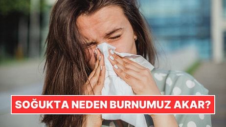 Soğuk Havada Neden Burnumuz Akar?