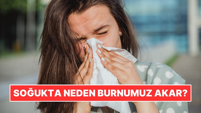 Soğuk Havada Neden Burnumuz Akar?