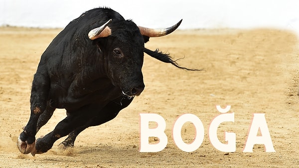 4-10 Mart haftası Boğa ve Yükselen Boğa ♉ para durumu