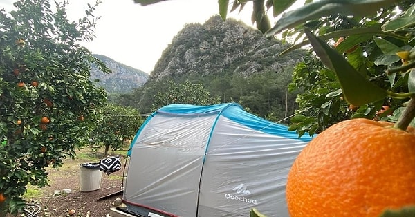 5. Mandalin Camping