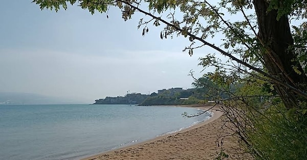 12. Tanaşa