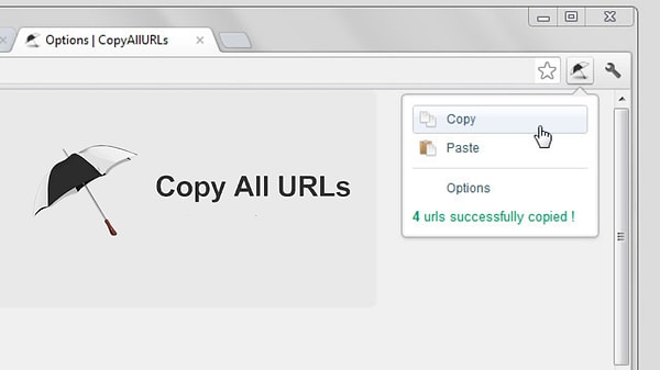 10. Copy All urls